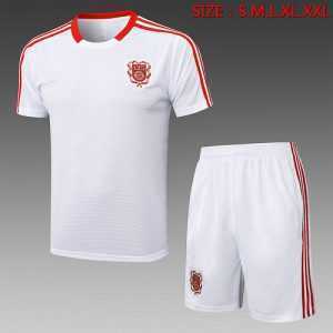 2025-26 Bayern Short-sleeved shorts training suit S-2XL