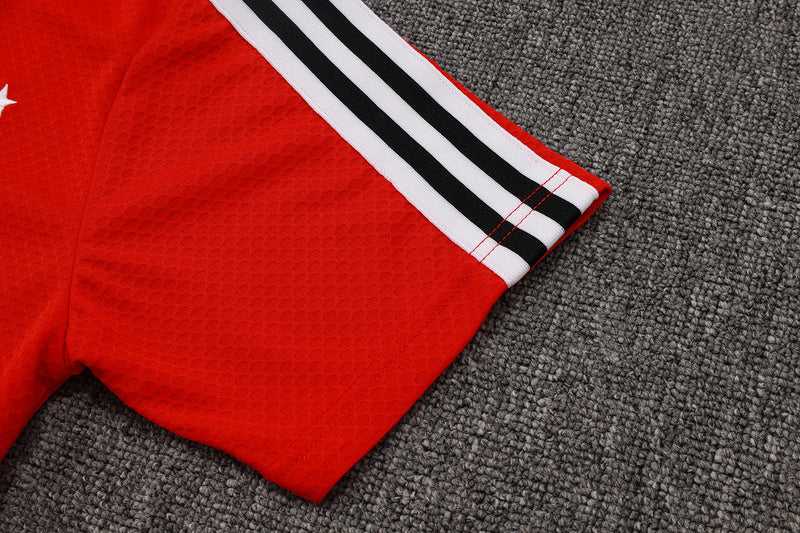 2025-26 Flamengo Short-sleeved shorts training suit S-2XL - Image 8